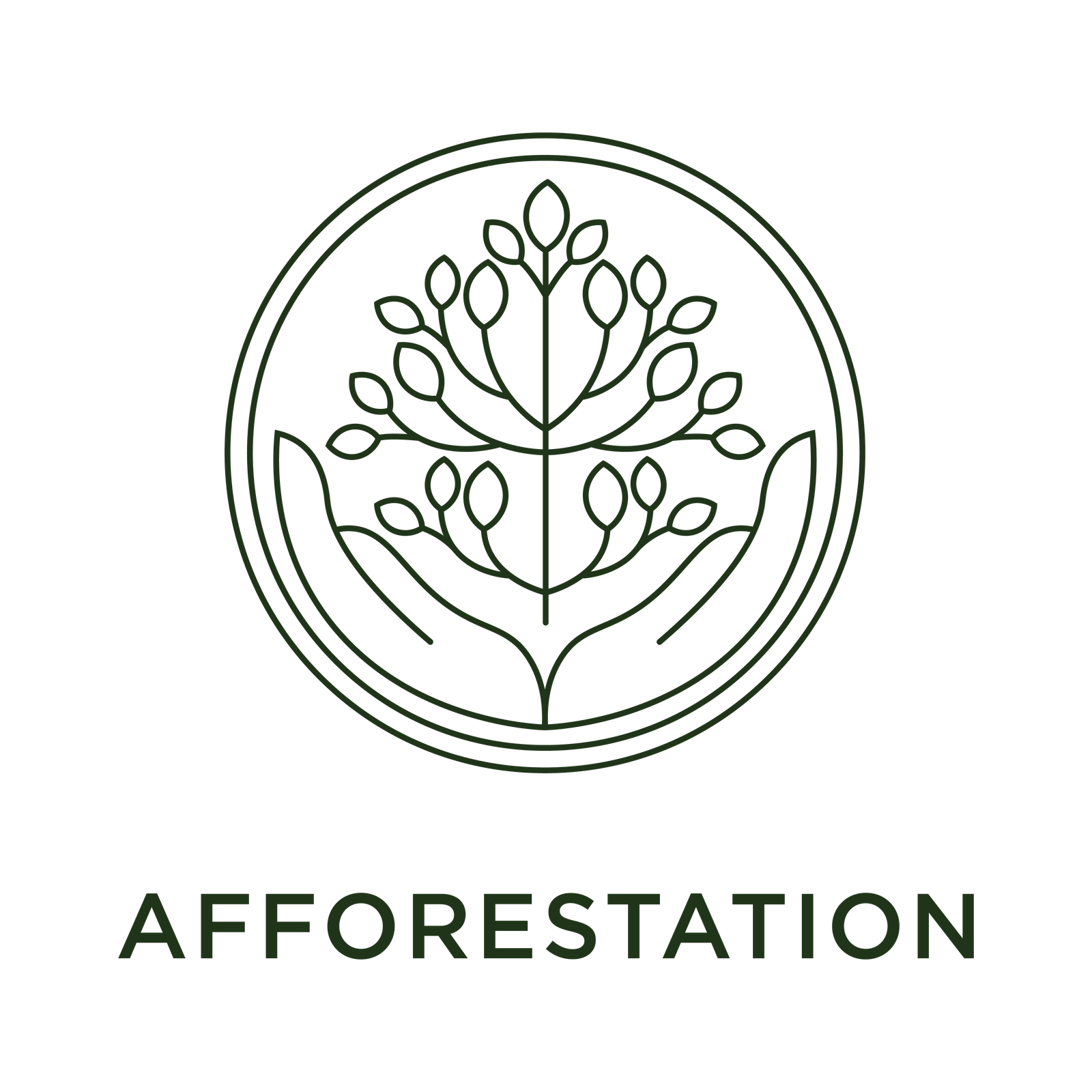 forestation